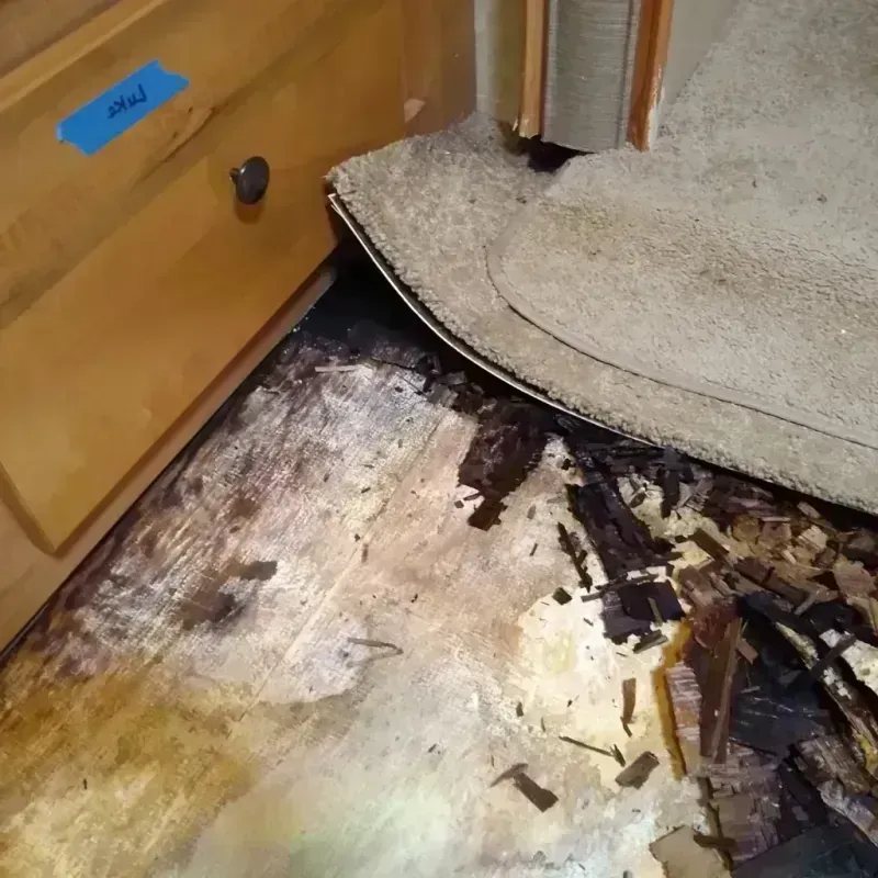 Wood Floor Water Damage in Washington, IN